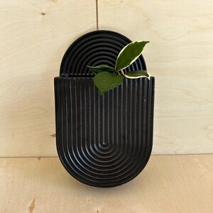 Target Hilton Carter wall planter